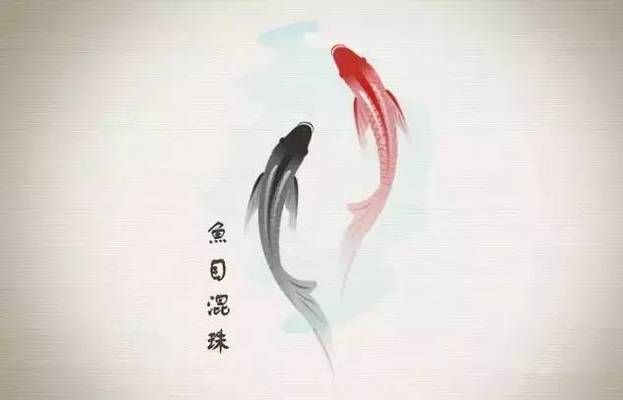 龍魚(yú)打傷喂點(diǎn)什么營(yíng)養(yǎng)好得快一點(diǎn)：龍魚(yú)在受傷后，選擇合適的營(yíng)養(yǎng)食物對(duì)其恢復(fù)至關(guān)重要 龍魚(yú)百科 第2張