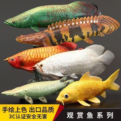 龍魚多久檢疫一次啊：龍魚吃什么上色快又好看， 龍魚百科 第4張