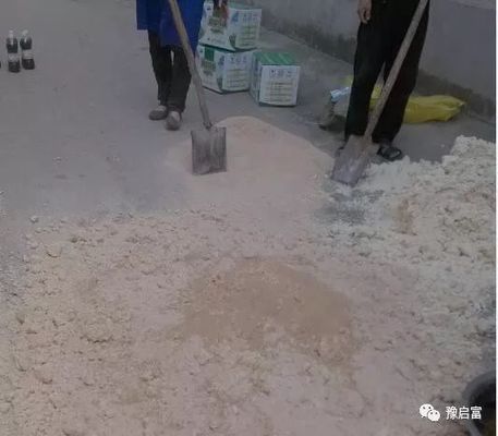 龍魚吃活食和飼料的好處：龍魚吃活食和飼料各有其好處