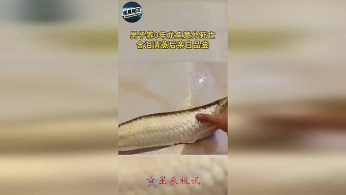 龍魚必定清驅(qū)蟲下多了：龍魚為什么會(huì)被咬死 龍魚百科 第2張