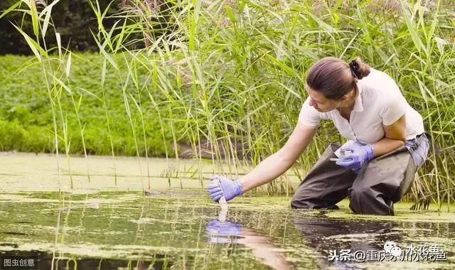 金龍魚是中國(guó)品牌嗎：金龍魚在中國(guó)市場(chǎng)上的知名度怎么樣？ 水族問(wèn)答 第2張