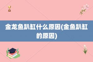 金龍魚趴缸是怎么回事：金龍魚趴缸底可能由多種原因引起金龍魚趴缸底是咋回事 龍魚百科 第3張