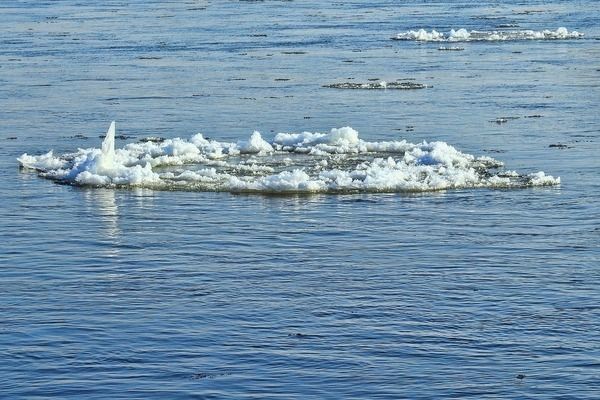 龍魚35度水溫行不？：龍魚最佳水溫范圍大致為24~28度龍魚最佳水溫范圍 龍魚百科 第1張