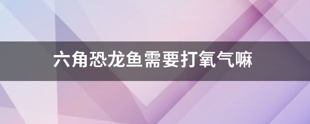 六角龍魚最愛吃什么：六角恐龍魚需要打氧氣嗎 龍魚百科 第8張