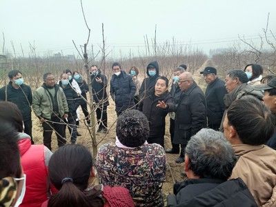 金龍魚售價趨勢分析圖：2019年金龍魚售價趨勢分析圖，金龍魚售價趨勢分析 水族問答 第1張