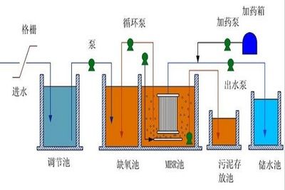 龍魚寄生蟲有什么表現(xiàn)癥狀：龍魚寄生蟲的一些表現(xiàn)癥狀 龍魚百科 第2張