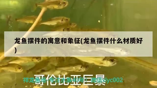 龍魚把鱗片撞掉怎么辦?。糊堲~手把件寓意什么 龍魚百科 第8張