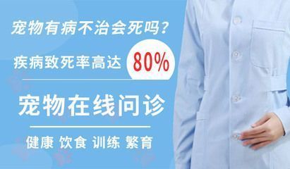 龍魚(yú)得水霉病怎么治：龍魚(yú)不吃食可能由多種原因引起龍魚(yú)不吃食的幾種原因 龍魚(yú)百科 第8張