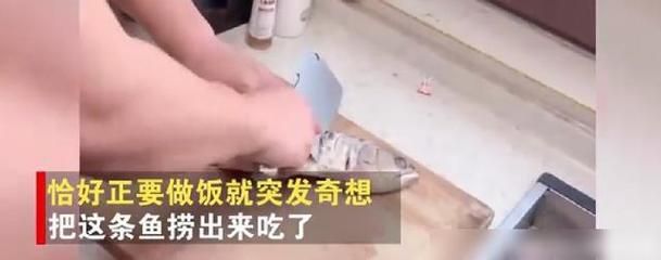 金龍魚內(nèi)蒙眼怎么治：金龍魚蒙眼怎么辦 龍魚百科 第5張