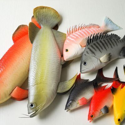 龍魚(yú)愛(ài)打架嗎：關(guān)于龍魚(yú)最愛(ài)吃什么水果和蔬菜 龍魚(yú)百科 第6張