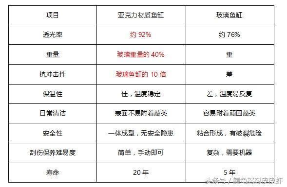 如何防止魚缸內(nèi)物品傷魚：防止魚缸內(nèi)物品傷魚的建議 魚缸百科 第1張