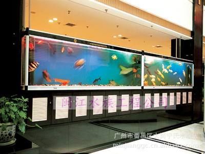 閩江魚缸廠家在哪里啊：福建閩江魚缸廠家 魚缸百科 第5張