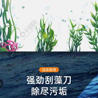 哪種魚缸刷好用：如何選擇一款合適的魚缸刷 魚缸百科 第4張