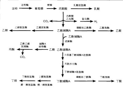 金龍魚頭高尾低怎么回事：金龍魚頭部相對(duì)于尾巴高的現(xiàn)象是其身體結(jié)構(gòu)和生理機(jī)能的自然體現(xiàn) 水族問(wèn)答 第1張