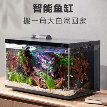 小米魚缸換水教程：小米魚缸換水指南 魚缸百科 第2張