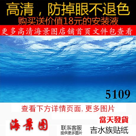 龍魚掉眼還有養(yǎng)的價(jià)值嗎：龍魚掉眼后的日常護(hù)理要點(diǎn) 龍魚百科 第5張