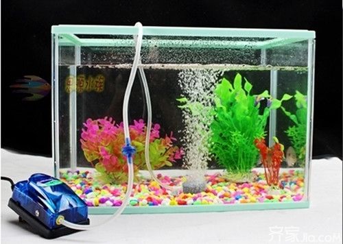 十大品牌魚缸氧氣泵：十大魚缸氧氣泵品牌 魚缸百科 第5張