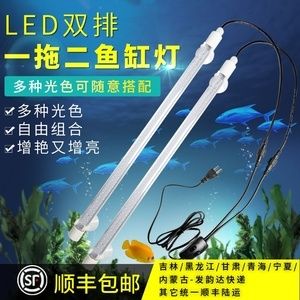 龍魚缸用什么燈比較好看：龍魚缸燈光如何調(diào)節(jié)色彩，潛水燈與頂燈搭配技巧 龍魚百科 第1張