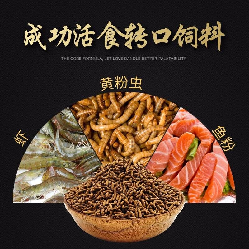 龍魚都喂什么食：龍魚喂養(yǎng)食譜：龍魚喂養(yǎng)食譜和喂養(yǎng)食譜