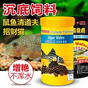 招財貓魚繁殖期飼料品牌推薦：招財貓魚繁殖期營養(yǎng)需求，自制招財貓魚飼料添加劑 龍魚百科 第3張