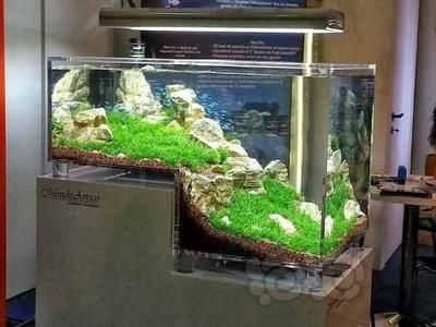 異形魚缸布景效果圖：異形魚缸布景效果圖展示 魚缸百科 第5張