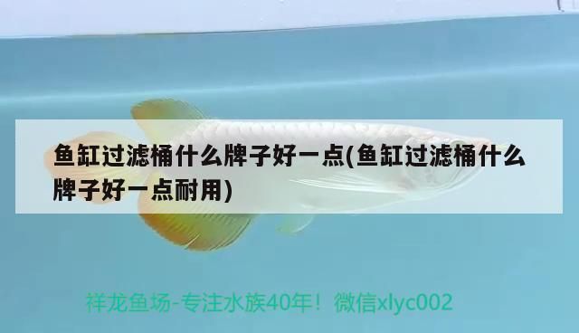 魚缸過濾器 品牌哪個好：魚缸過濾器品牌