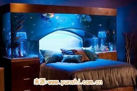 床邊放魚缸好嗎風水好嗎：如何科學養(yǎng)護床邊魚缸 魚缸百科 第1張