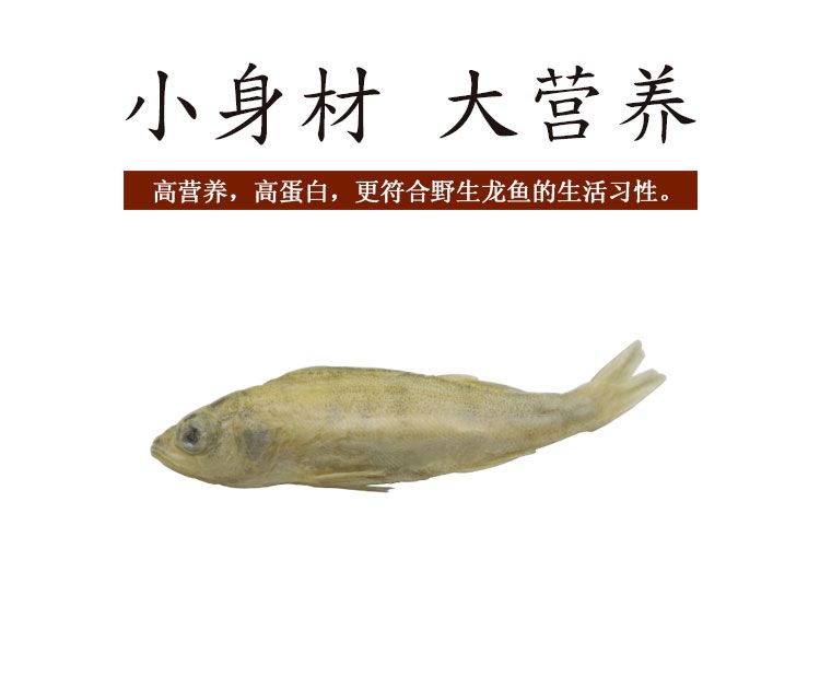 龍魚混養(yǎng)魚多了會(huì)掉眼嗎怎么辦：如何判斷龍魚是否營養(yǎng)不良 龍魚百科 第2張