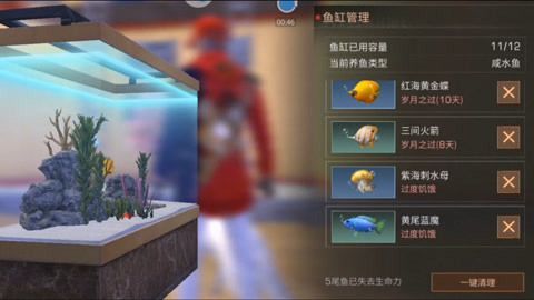 魚缸的榮耀：“魚缸的榮耀”是什么？ 魚缸百科 第1張