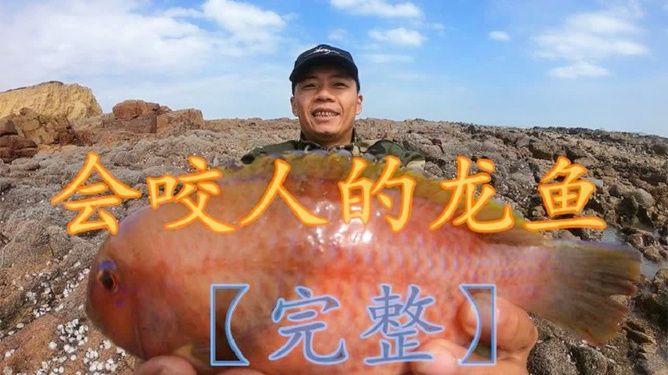 龍魚有變異嗎：變異龍魚市場價格趨勢 龍魚百科 第2張