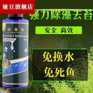 魚缸除藻劑會死魚嗎：魚缸除藻劑在使用時若能控制好量，對魚的健康會造成危害 魚缸百科 第4張