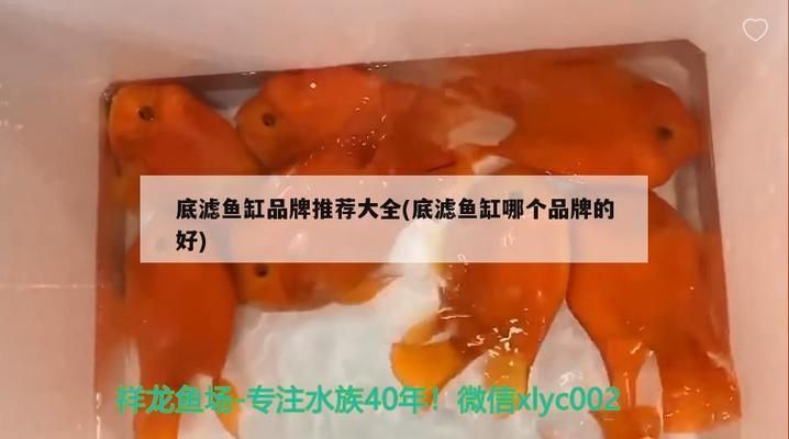 底濾魚缸品牌十大排名：2024年12月17日發(fā)布的底濾魚缸十大品牌排行榜：序號(hào) 魚缸百科 第2張