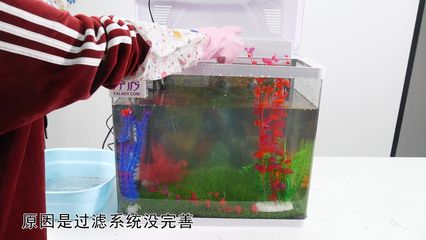 魚缸過濾器真的需要24小時(shí)不間斷開著嗎：魚缸過濾器是否需要24小時(shí)不間斷運(yùn)行 魚缸百科 第4張