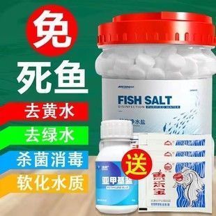 金龍魚喂什么食物發(fā)色好看：金龍魚發(fā)色好看需要定期換什么水嗎喂食過量對金龍魚發(fā)色有影響嗎 水族問答 第1張