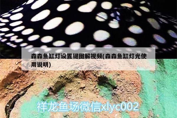 森森魚缸怎么開燈：森森魚缸如何開啟照明 魚缸百科 第4張