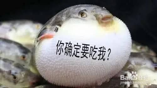 魚缸里的海豚怎么養(yǎng)：在魚缸中養(yǎng)殖河豚需要注意以下幾個(gè)關(guān)鍵點(diǎn)以確保它們得到合適的照顧 魚缸百科 第4張