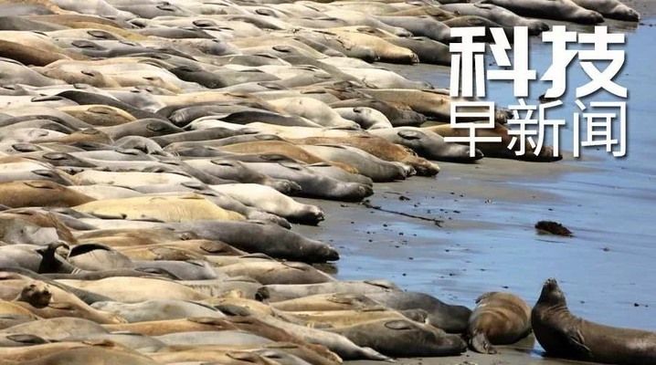 金龍魚喂小魚：喂養(yǎng)金龍魚的注意事項 水族問答 第2張