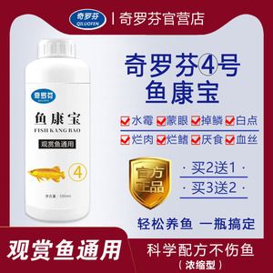 龍魚爛鰭爛尾用什么藥好：龍魚爛鰭爛尾的日常護理 龍魚百科 第1張