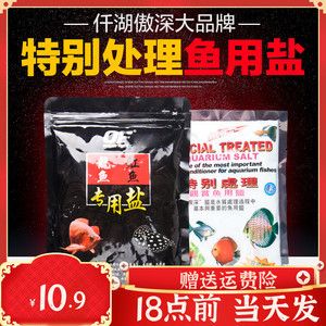 龍魚爛鰭爛尾用什么藥好：龍魚爛鰭爛尾的日常護理 龍魚百科 第5張