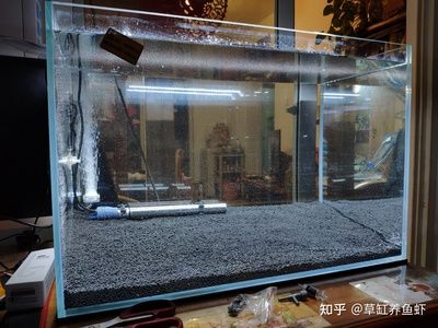 高端魚(yú)缸品牌推薦知乎：森森sunsun、博宇boyu等高端魚(yú)缸品牌推薦 魚(yú)缸百科 第2張