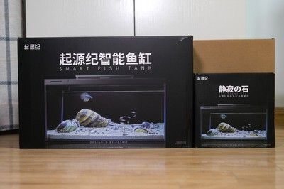 小佩 魚缸：小佩魚缸如何維護(hù) 魚缸百科 第4張