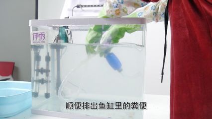 魚(yú)缸虹吸聲音消除：如何消除魚(yú)缸虹吸的聲音 魚(yú)缸百科 第2張