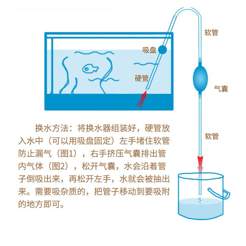 魚(yú)缸虹吸聲音消除：如何消除魚(yú)缸虹吸的聲音 魚(yú)缸百科 第1張