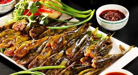 金龍魚小苗的飼養(yǎng)方法：金龍魚小苗的飼養(yǎng)方法包括選擇合適的水質(zhì)和溫度 水族問答 第1張