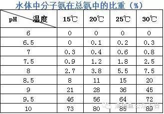 金龍魚小魚價(jià)格：為什么金龍魚小魚的價(jià)格這么高？ 水族問(wèn)答 第2張