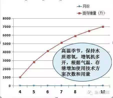 金龍魚芯片在哪里：什么是金龍魚芯片？ 水族問答 第2張