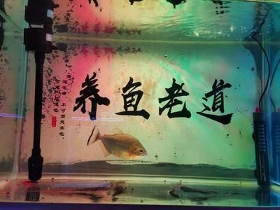 魚缸水泵沒水：如何防止魚缸水泵堵塞，魚缸水泵選購指南，魚缸水泵故障自檢方法 魚缸百科 第4張