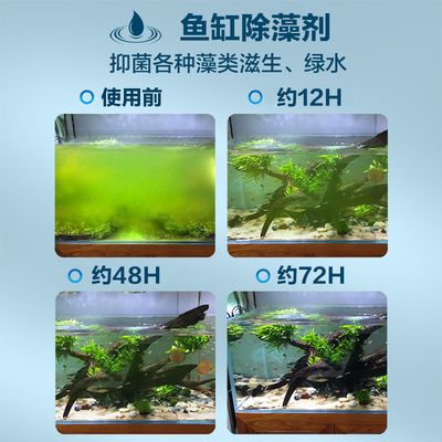 魚缸除藻劑對魚有害嗎：魚缸除藻劑使用方法 魚缸百科 第3張