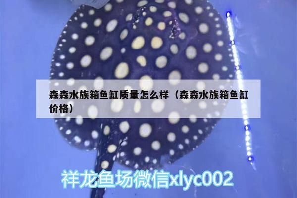 森森水族魚缸價格：森森水族魚缸價格信息 魚缸百科 第3張