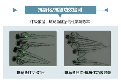 金龍魚需要加溫嗎：如何判斷金龍魚是否需要加溫以及合適的加熱方式是什么 水族問答 第1張